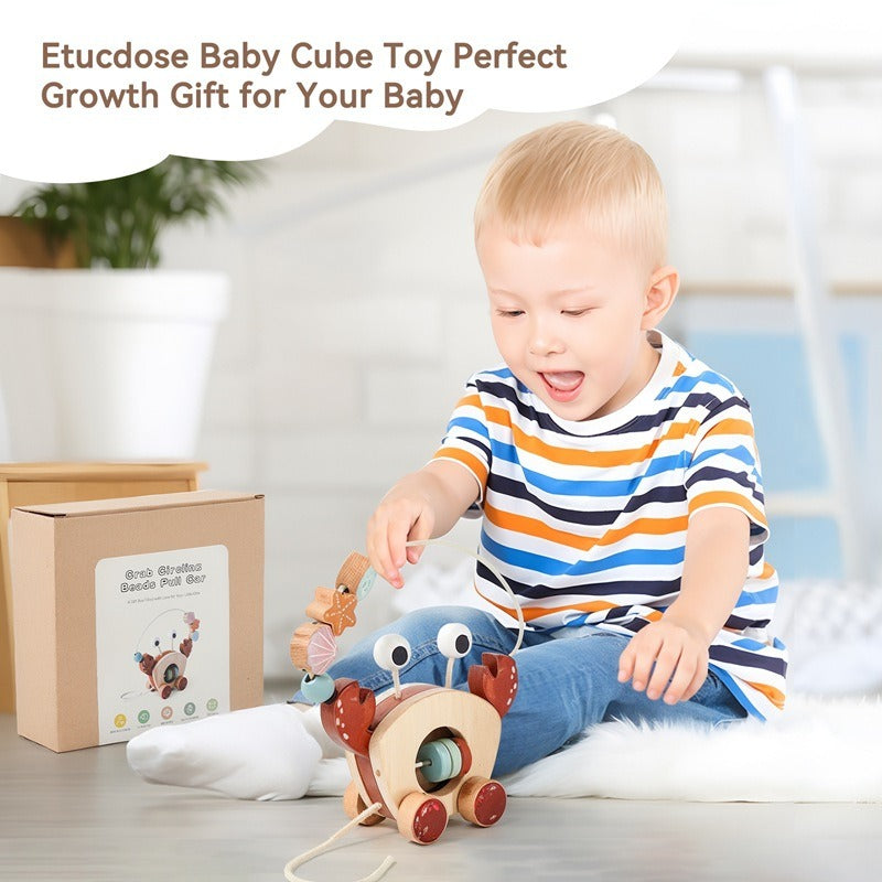 Wooden Crab Pull Toy and Bead Maze