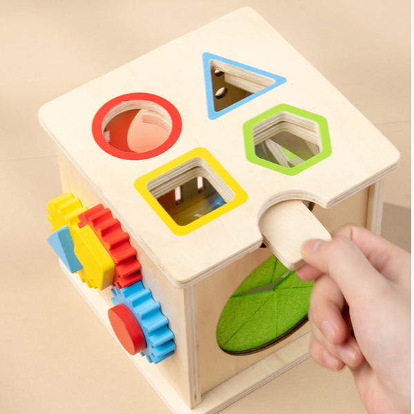 Wooden 8-in-1 Montessori Learning Activity Cube