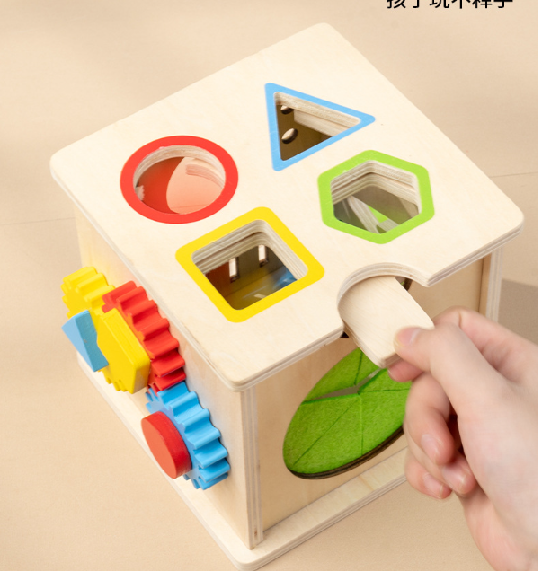 Wooden 8-in-1 Montessori Learning Activity Cube
