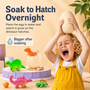 Surprise Hatching Dinosaur Egg Toy – Grows in Water
