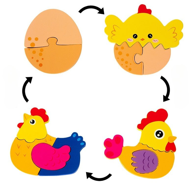 Growth Cycle Wooden Puzzles for Kids