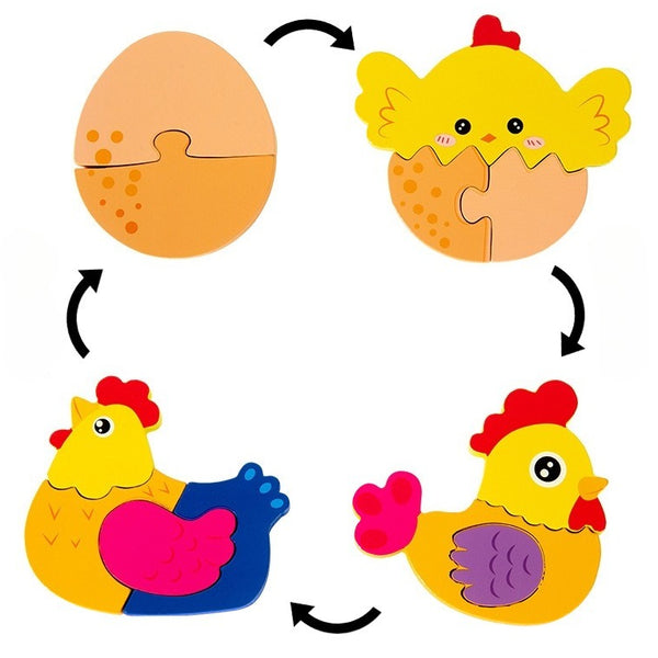 Growth Cycle Wooden Puzzles for Kids