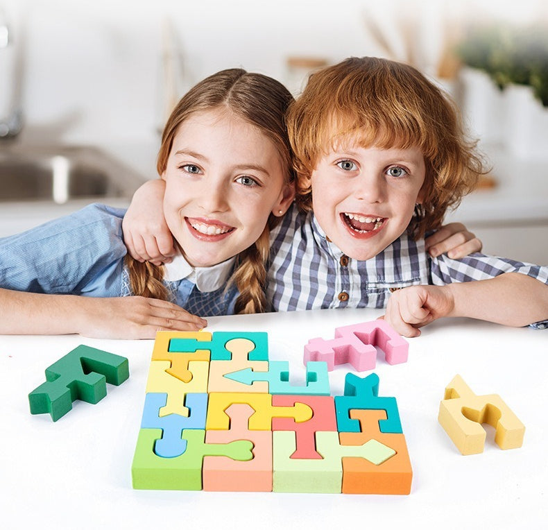Geometric Shape Puzzle Blocks