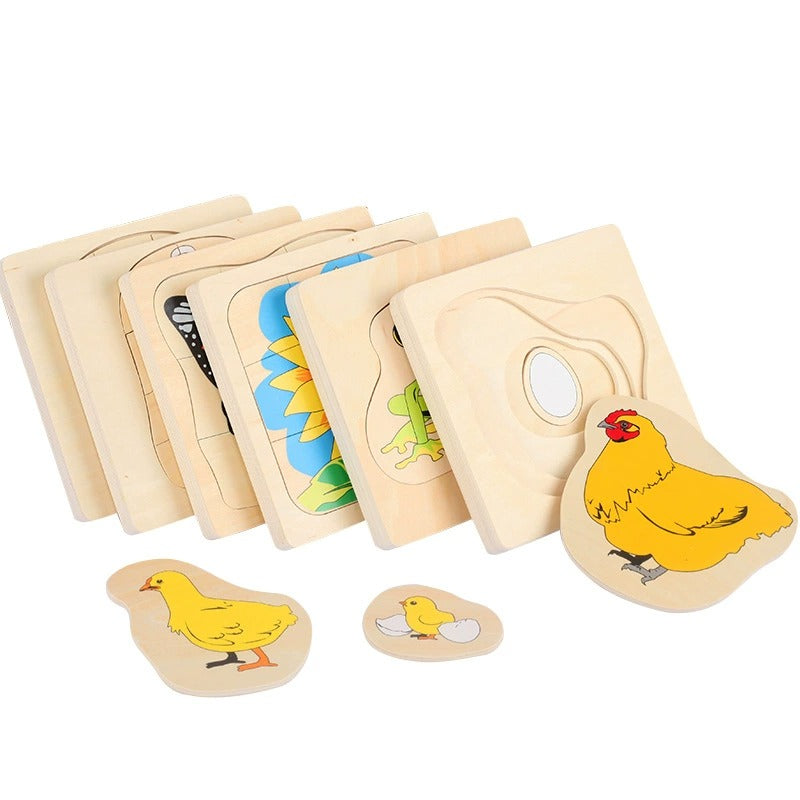 Montessori Growth Process Layered Wooden Puzzle for Kids