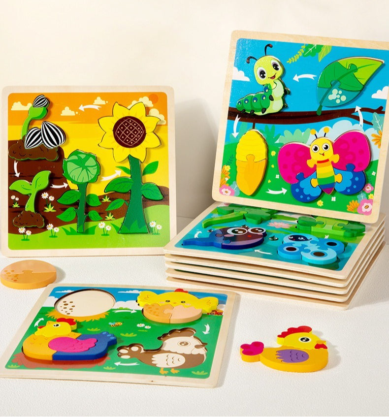 Growth Cycle Wooden Puzzles for Kids