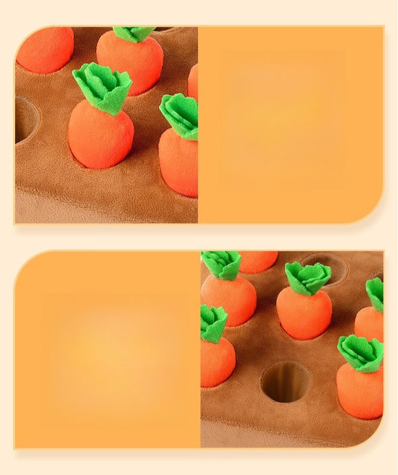 Plush Carrot Harvest Activity Toy