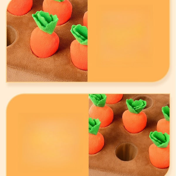Plush Carrot Harvest Activity Toy