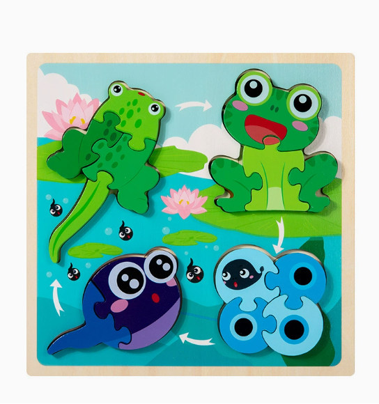 Growth Cycle Wooden Puzzles for Kids