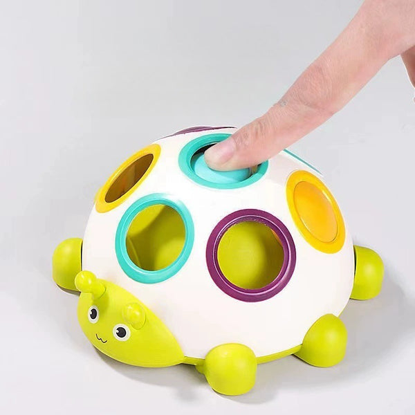 Sliding Turtle Sensory Activity Toy