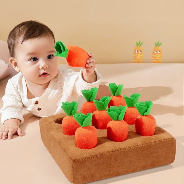Plush Carrot Harvest Activity Toy