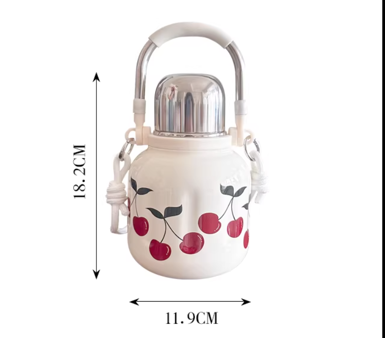 Large Capacity Stainless Steel Insulated Bottle with Handle