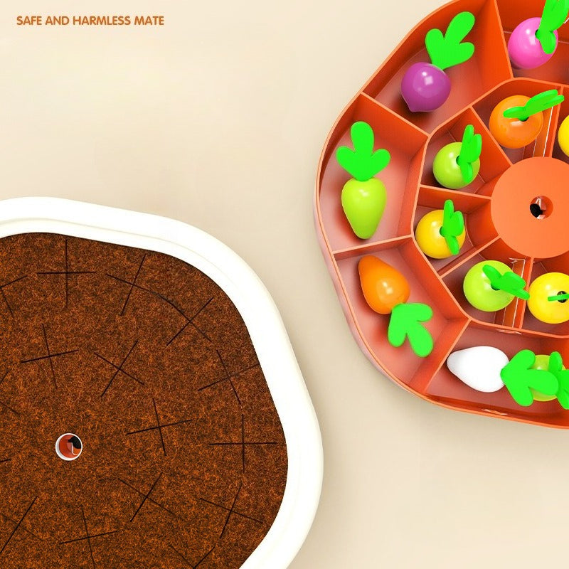 Little Farmer’s Memory Match: The Great Carrot Harvest