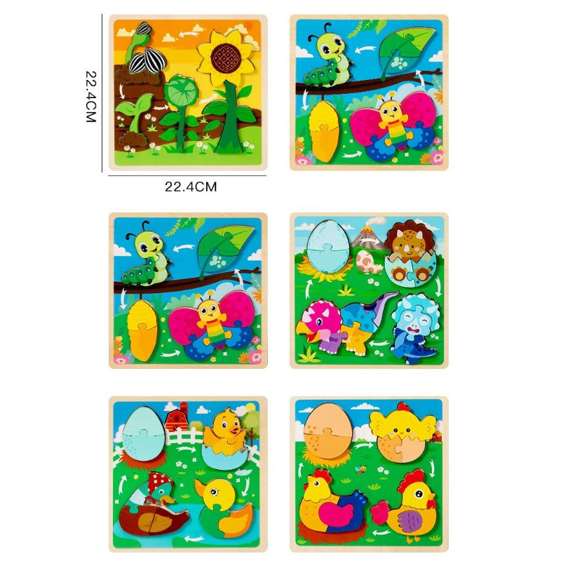 Growth Cycle Wooden Puzzles for Kids