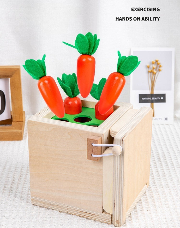 Wooden 4-in-1 Montessori Learning Box