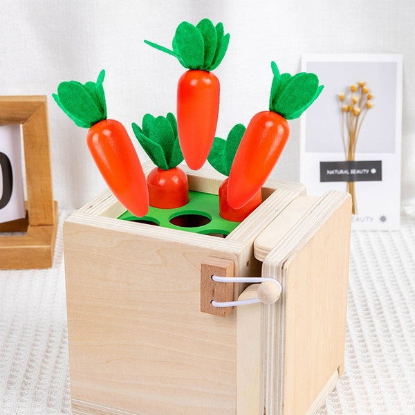 Wooden 4-in-1 Montessori Learning Box
