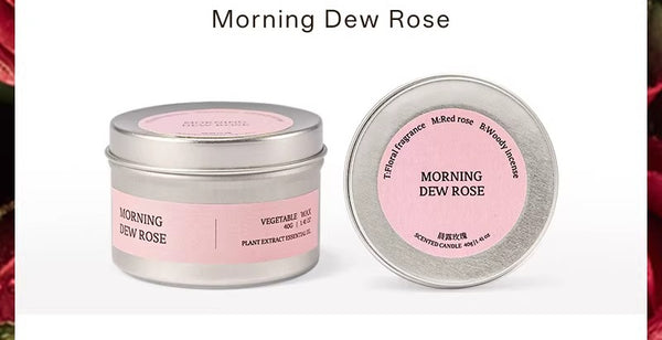 Travel Scented Tin Candle