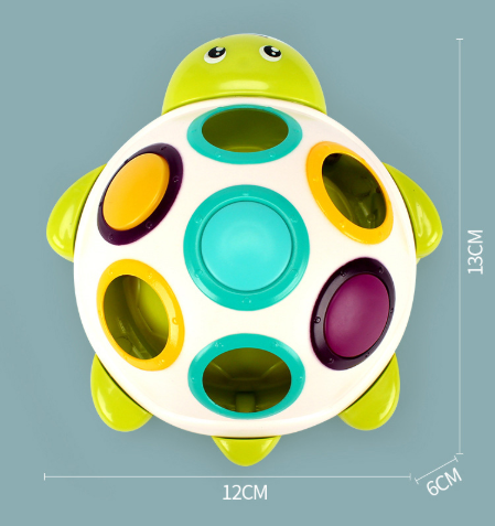 Sliding Turtle Sensory Activity Toy