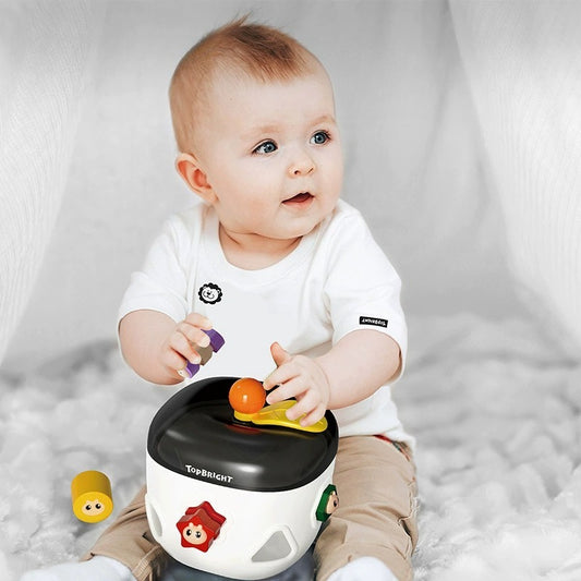 TOPBRIGHT Apple Shape Sorter