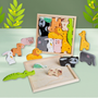 Montessori Wooden Puzzle Set for Young Children