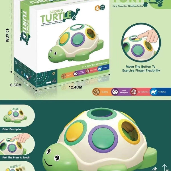 Sliding Turtle Sensory Activity Toy