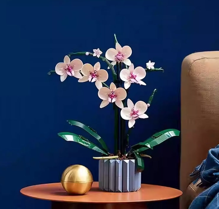 Orchid Building Block Botanical Set