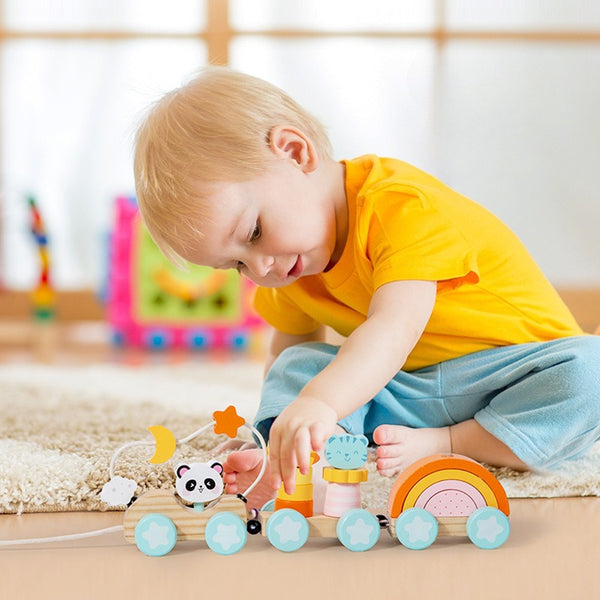 3-in-1 Wooden Rainbow & Animal Pull-Along Train