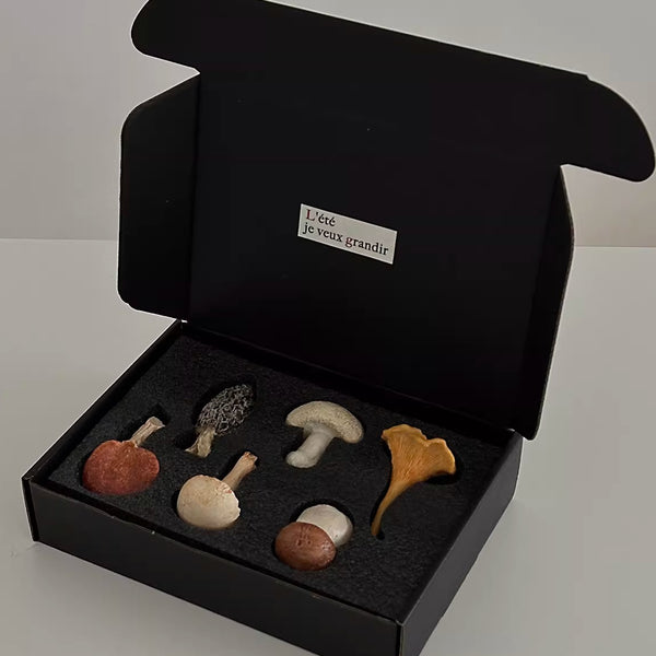 Hand-Painted Mushroom Resin Chopstick Rest