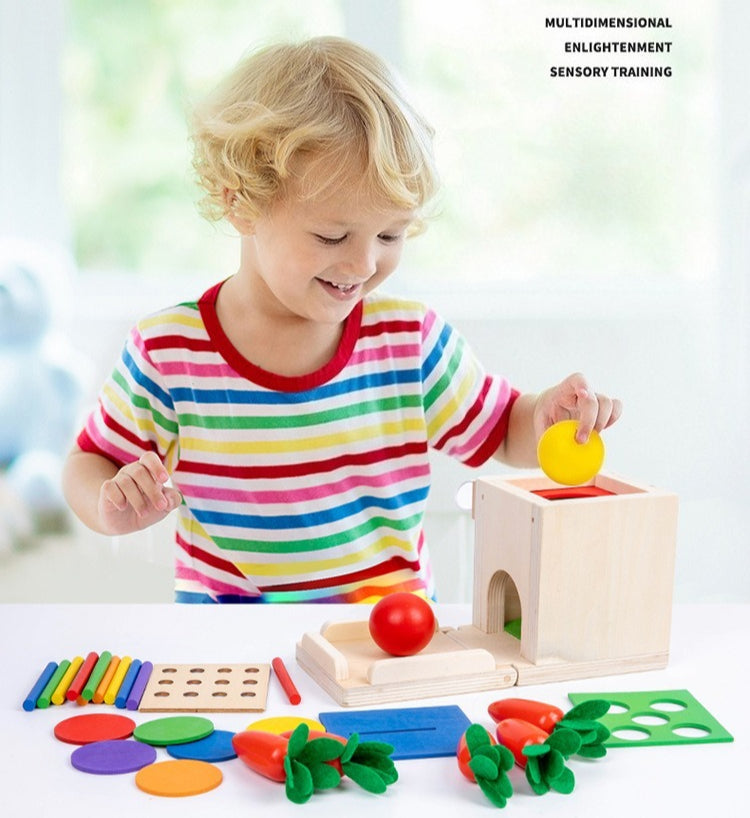 Wooden 4-in-1 Montessori Learning Box