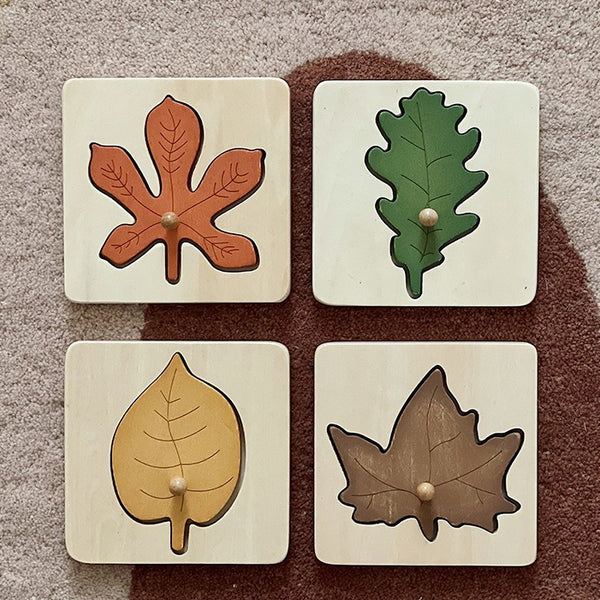 Wooden Leaf Cognition Puzzle Set