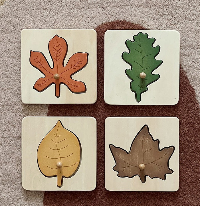 Wooden Leaf Cognition Puzzle Set