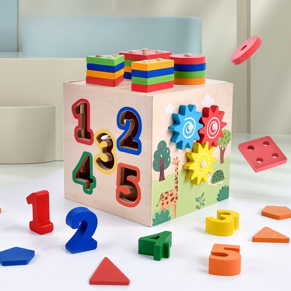 6-in-1 Montessori Wooden Activity Cube & Shape Sorter