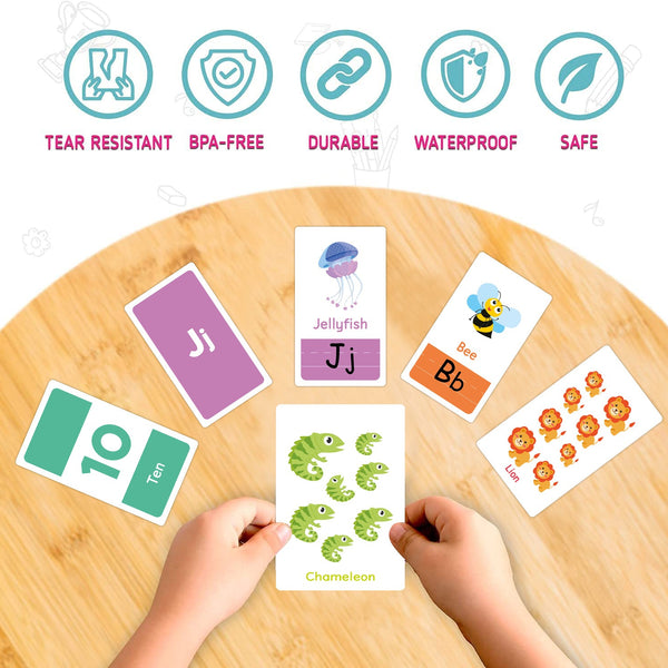 Toddler Educational Flash Cards