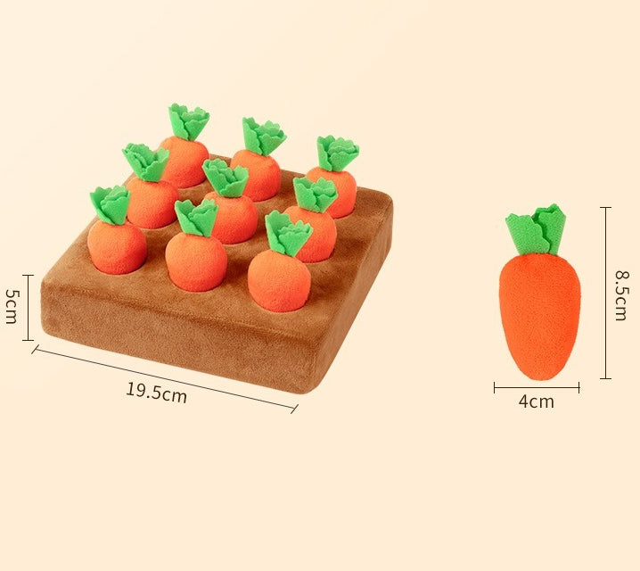 Plush Carrot Harvest Activity Toy