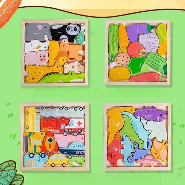 Montessori Wooden Puzzle Set for Young Children