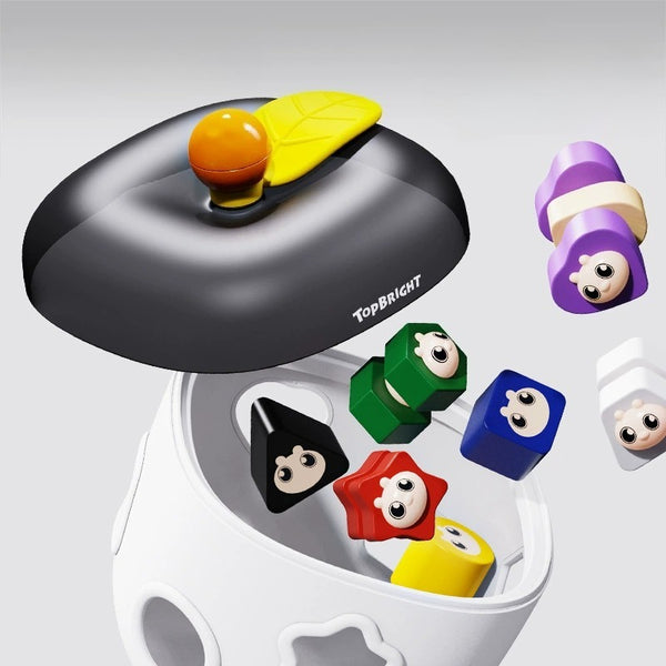 TOPBRIGHT Apple Shape Sorter