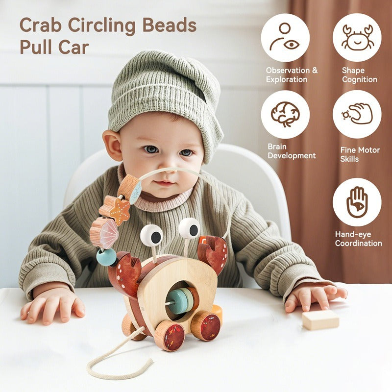 Wooden Crab Pull Toy and Bead Maze
