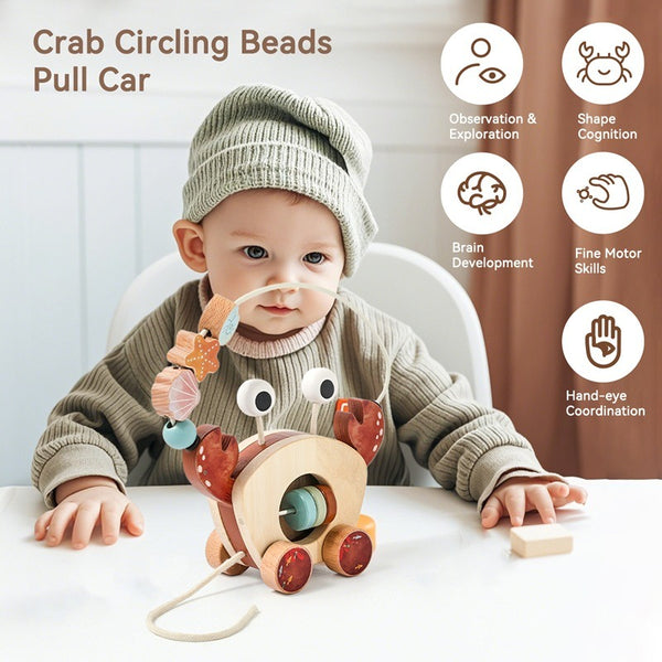 Wooden Crab Pull Toy and Bead Maze
