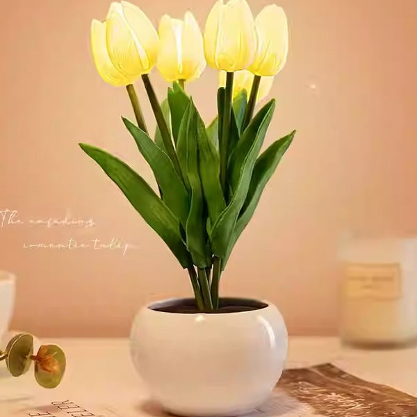 Tulip Flower Atmosphere Night Light