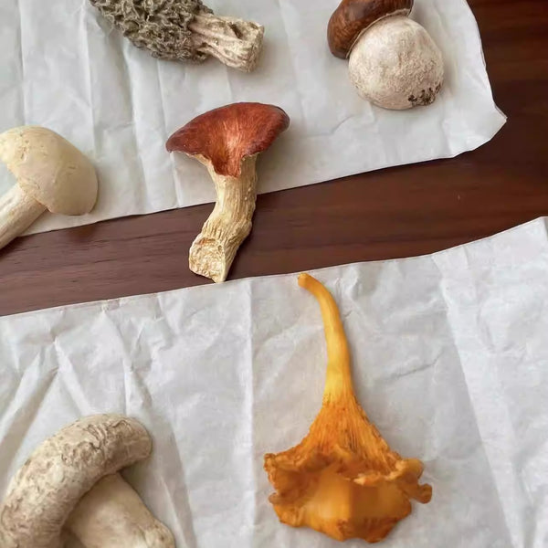 Hand-Painted Mushroom Resin Chopstick Rest