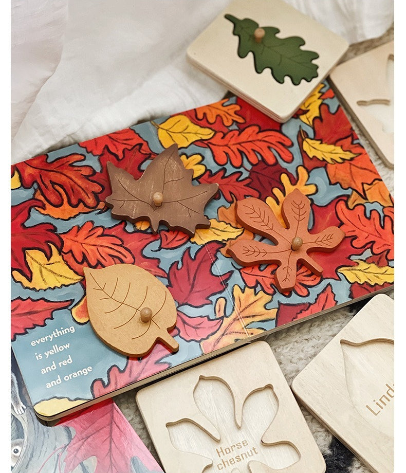 Wooden Leaf Cognition Puzzle Set