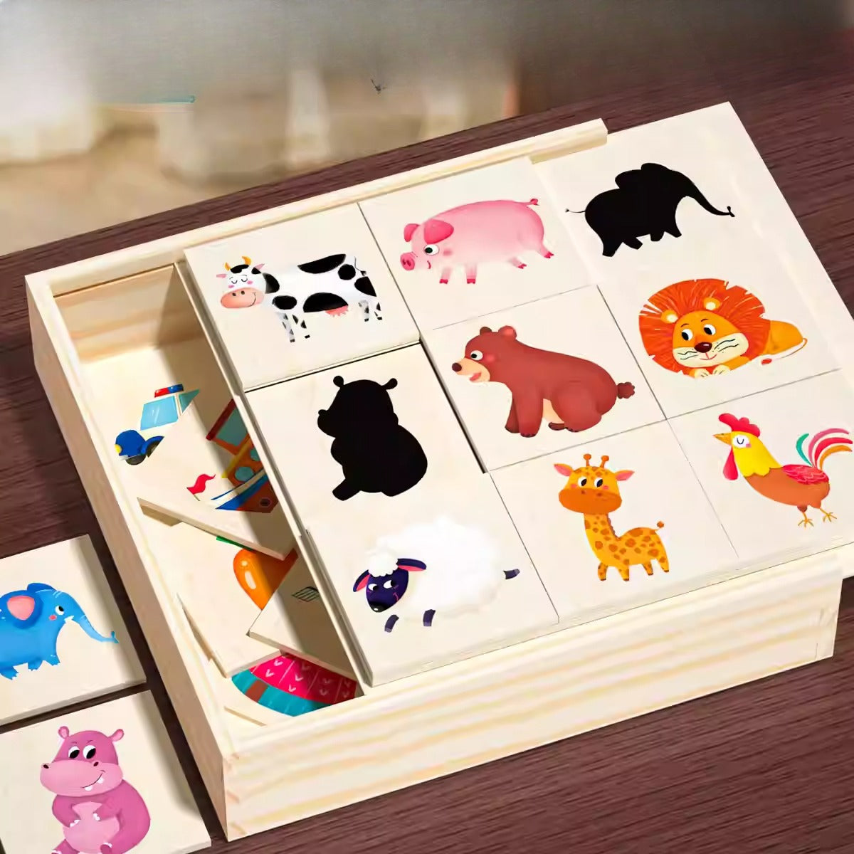 Wooden Shadow Matching Puzzle