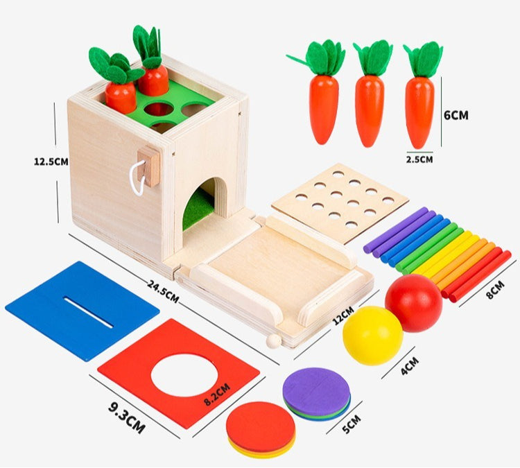 Wooden 4-in-1 Montessori Learning Box