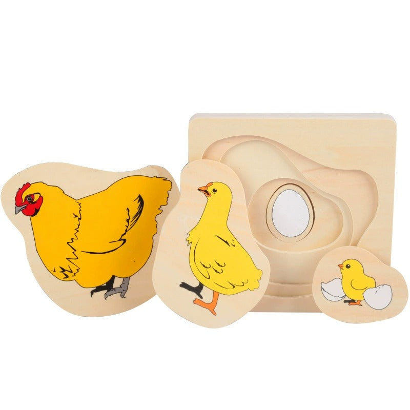 Montessori Growth Process Layered Wooden Puzzle for Kids