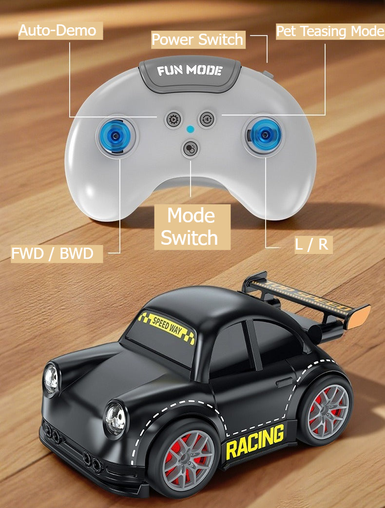 Mini Induction Drift RC Car