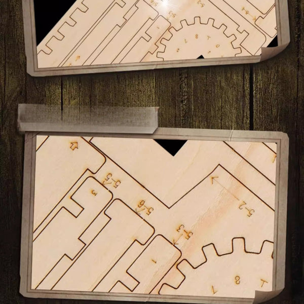 Schrödinger's Cat DIY Escape Room Puzzle Box