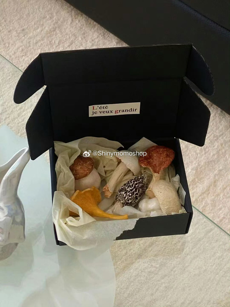 Hand-Painted Mushroom Resin Chopstick Rest