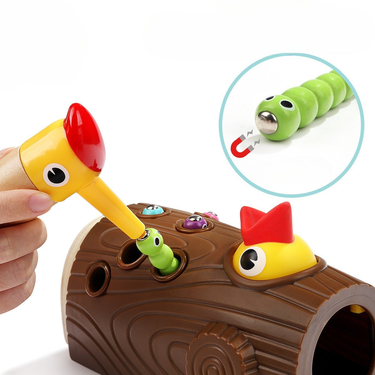 The Hungry Woodpecker: Magnetic Feeding & Sorting Game
