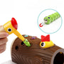 The Hungry Woodpecker: Magnetic Feeding & Sorting Game