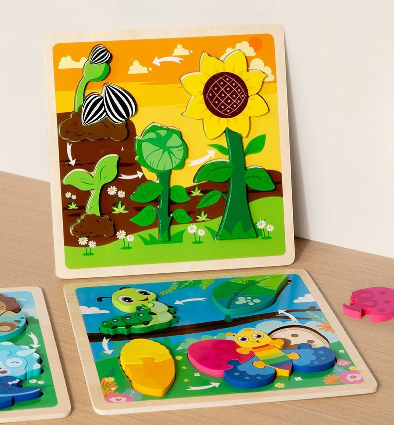 Growth Cycle Wooden Puzzles for Kids