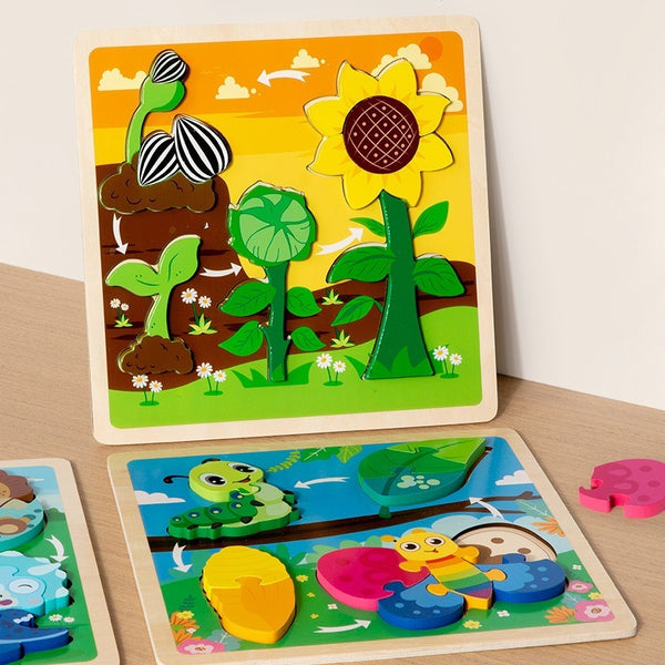 Growth Cycle Wooden Puzzles for Kids